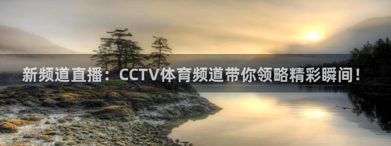 新频道直播：CCTV体育频道带你领略精彩瞬间！