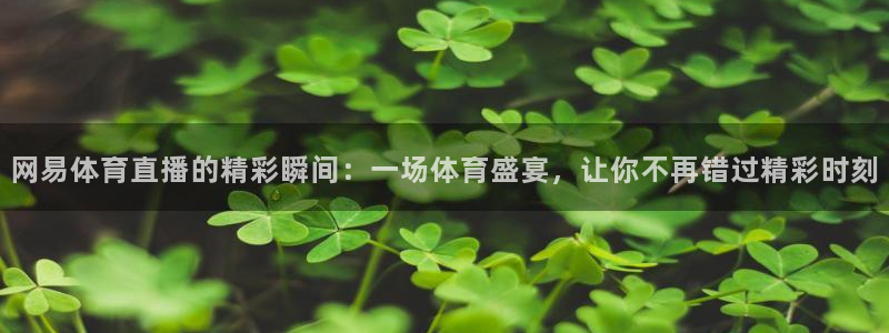 网易体育直播的精彩瞬间：一场体育盛宴，让你不再错过精彩时刻