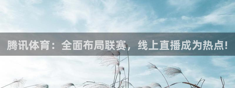 腾讯体育：全面布局联赛，线上直播成为热点!