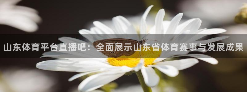 山东体育平台直播吧：全面展示山东省体育赛事与发展成果