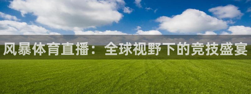风暴体育直播：全球视野下的竞技盛宴