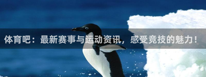 体育吧：最新赛事与运动资讯，感受竞技的魅力！