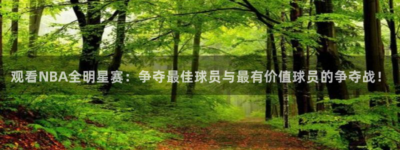 观看NBA全明星赛：争夺最佳球员与最有价值球员的争夺战！