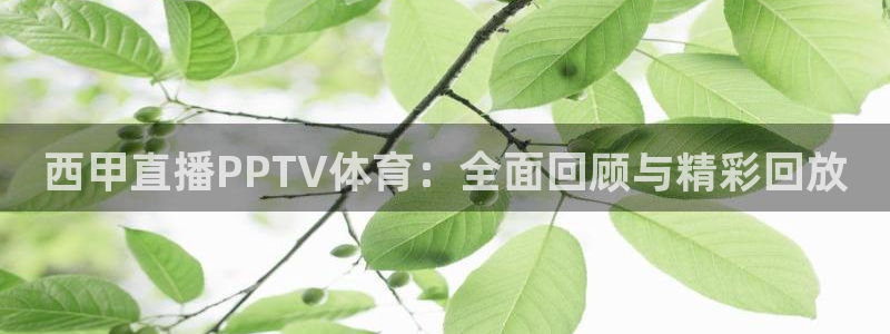 西甲直播PPTV体育：全面回顾与精彩回放