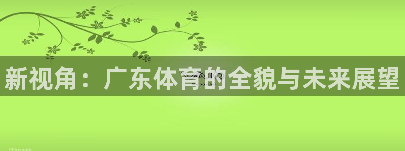 新视角：广东体育的全貌与未来展望