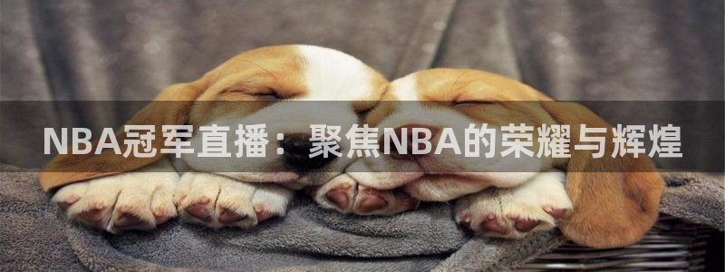 NBA冠军直播：聚焦NBA的荣耀与辉煌
